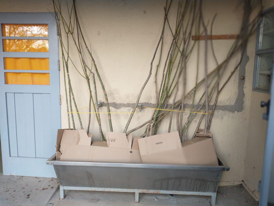 f26fe920-f338-43aa-b537-06419f001954