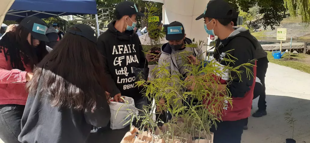 WhatsApp Image 2022-04-01 at 15.16.45 (1)