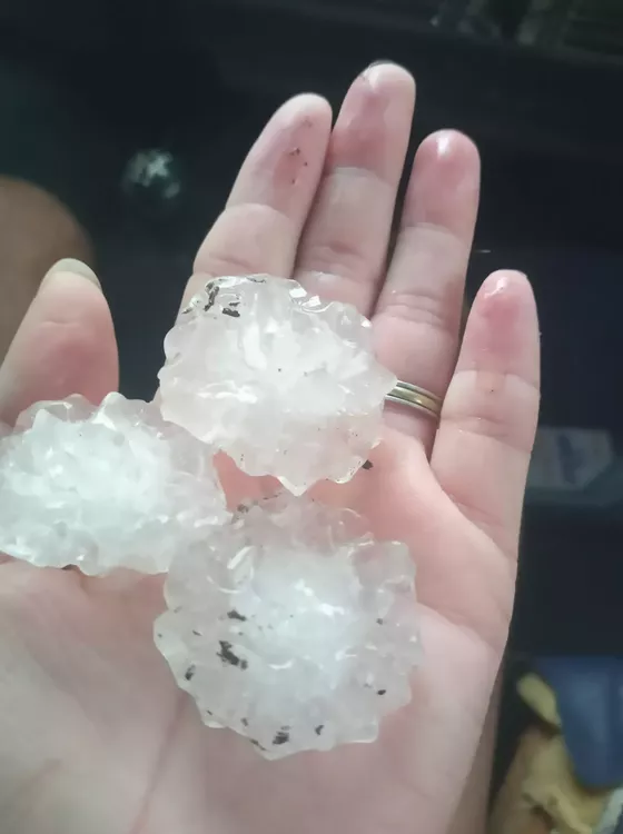 271950678_2015683791924571_433212299345470736_n