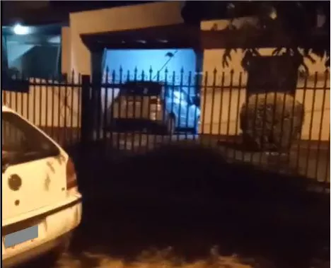 POLICIALES