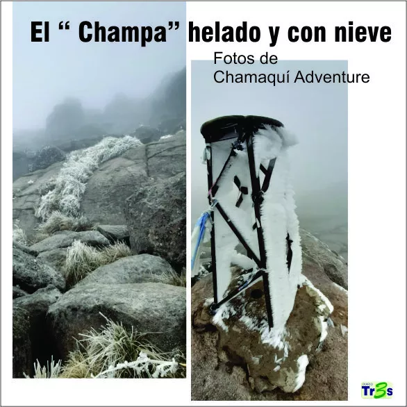 WhatsApp Image 2022-05-30 at 9.10.57 AM