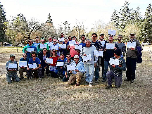 curso-poda-arbolado-urbano
