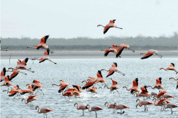 mar-de-ansenuza-106-principal-0