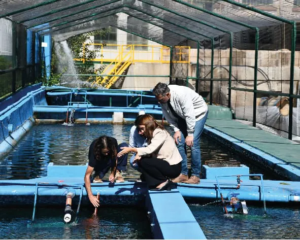 WhatsApp-Image-2024-04-09-at-09.34.09