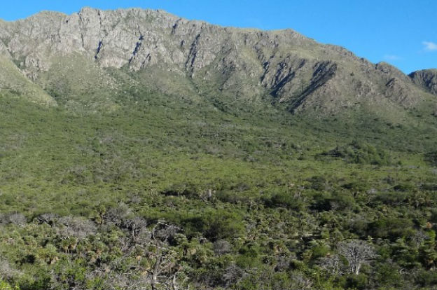 reserva-natural-espinillo-bravo-741-principal-1