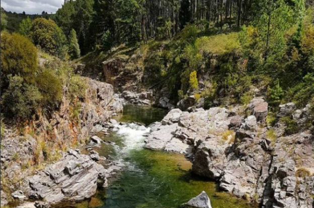 bosques-de-yacanto-739-principal-0