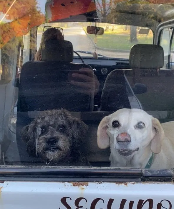 440757052_7762906167102560_7079585281870746600_n