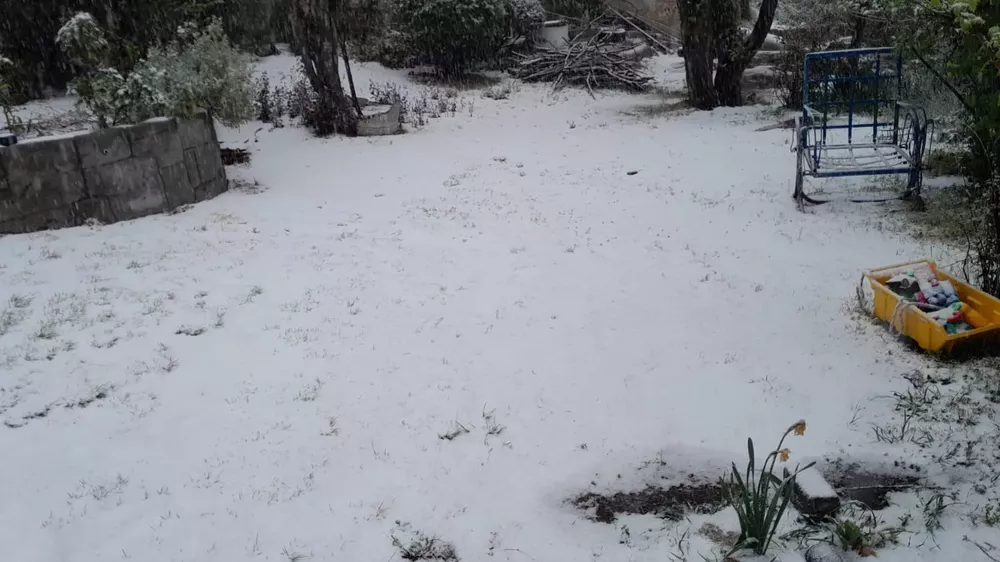 307853340_2120165764858692_6504127837425634844_n