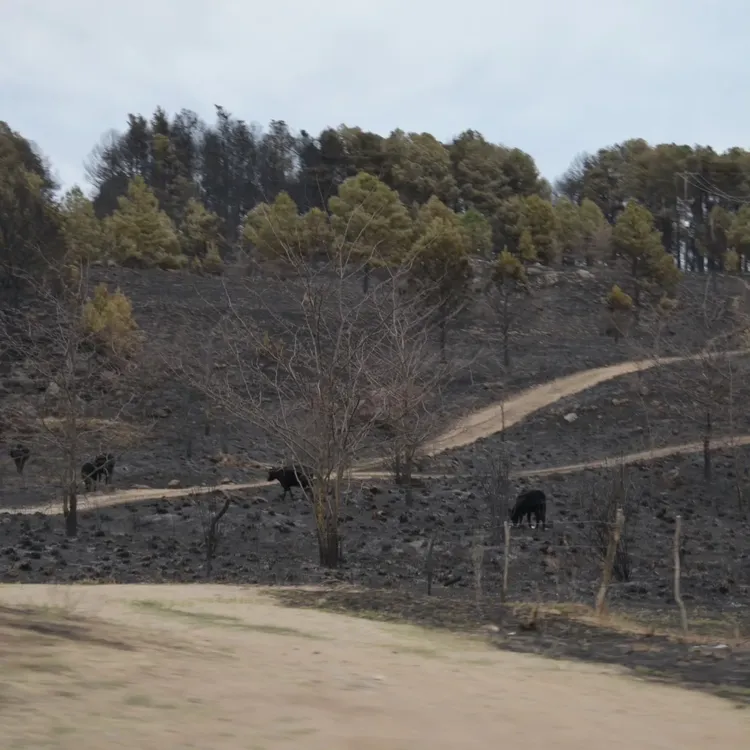 459179307_932222772277953_1835890803691536533_n