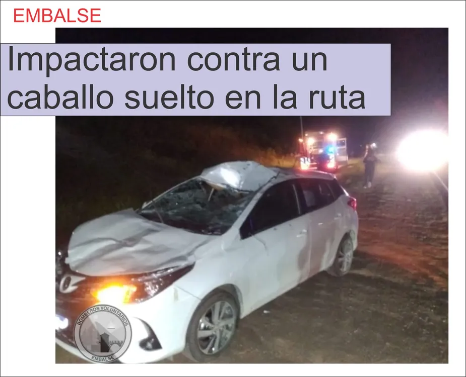 POLICIALESss