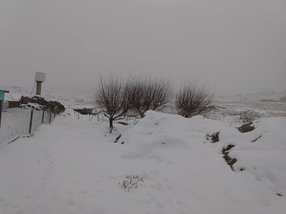 118146383_1752861411520950_6188654961846628773_n