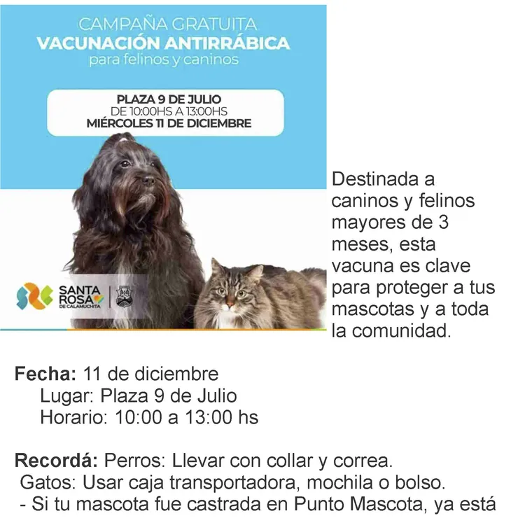 N° 1130 lunes 9 de diciembre_Página_06