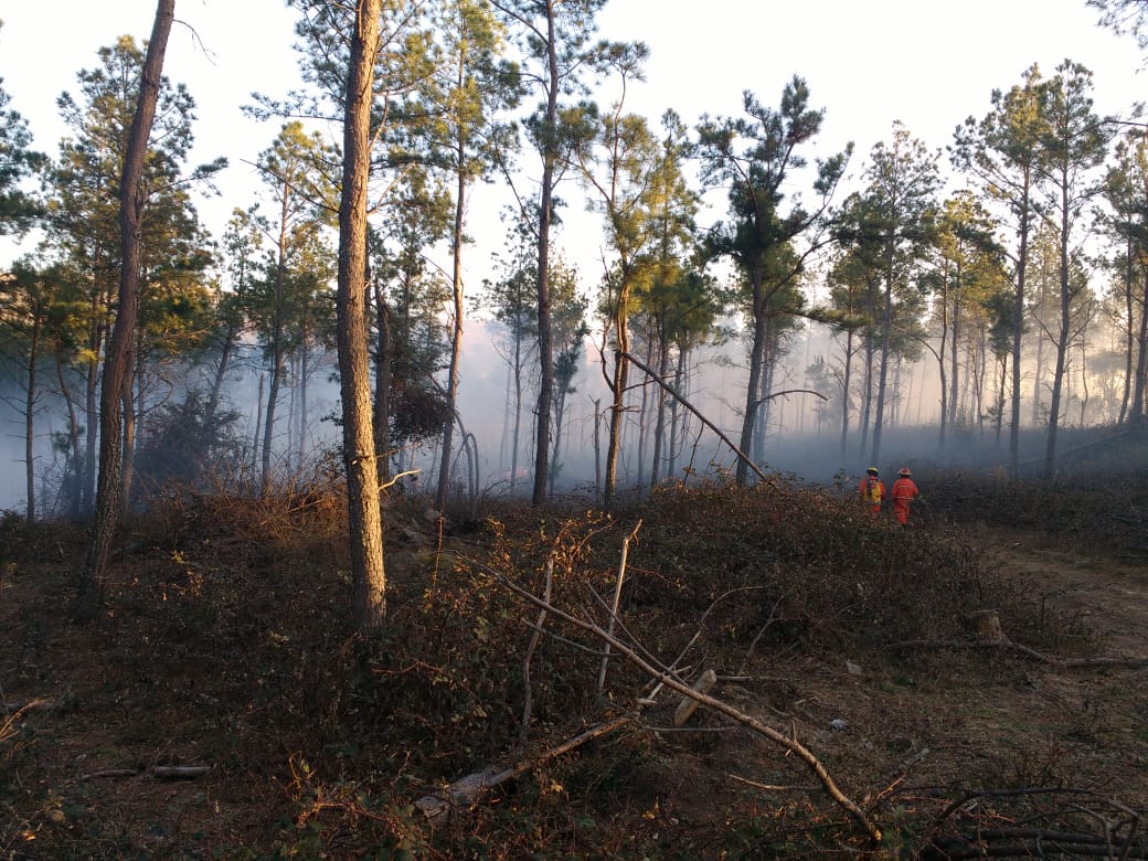 de0f999a-4f9c-4432-8de7-695b0ee7e0a1