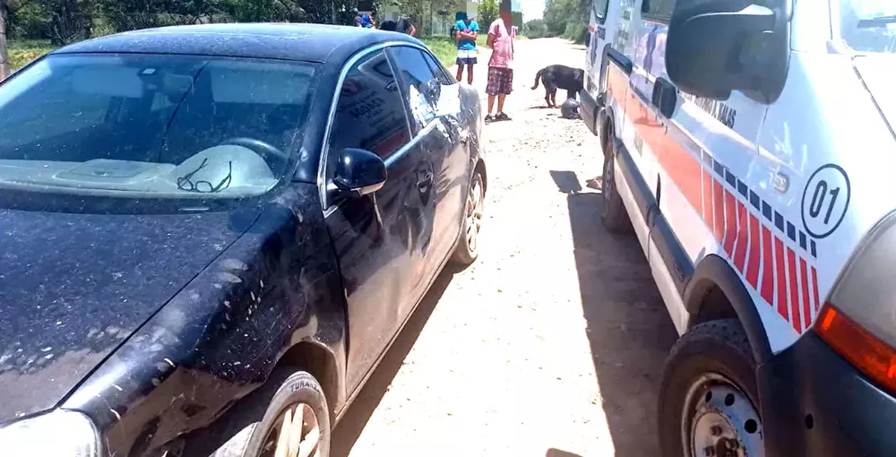 POLICIALES