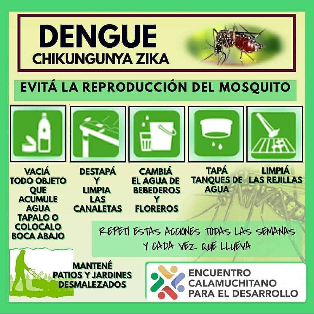 Recomendaciones Para Evitar El Dengue