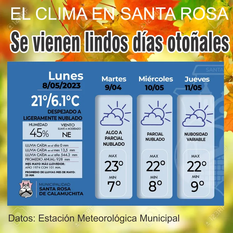 WhatsApp Image 2023-05-08 at 09.20.29