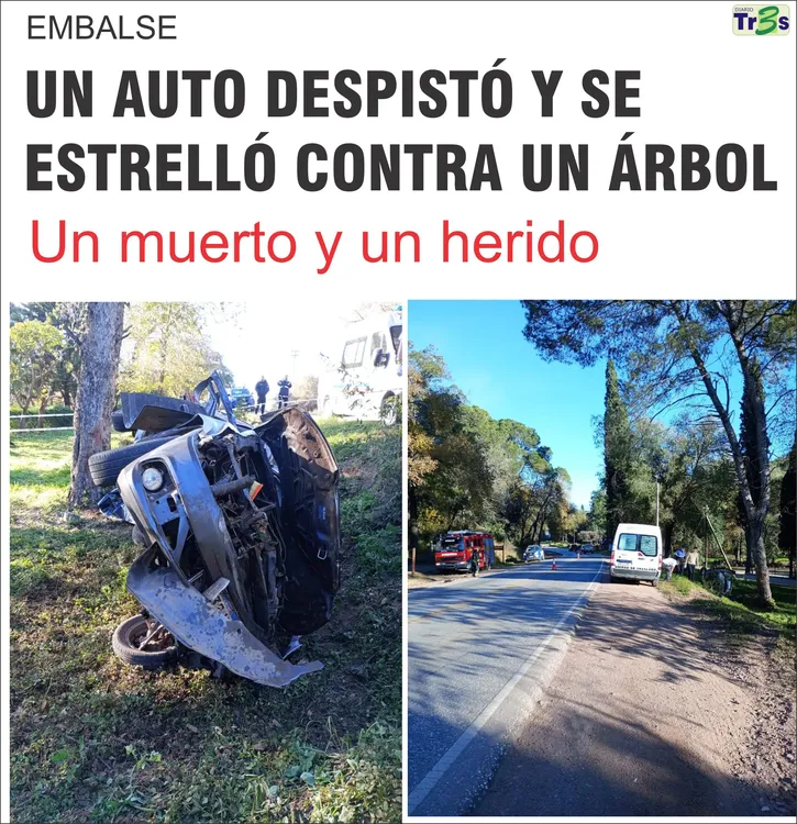 POLICIALES