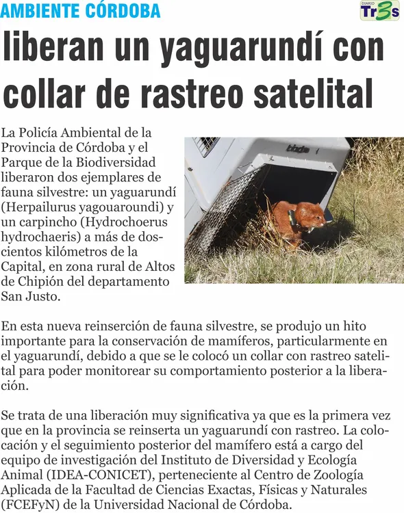 PROVINCIA