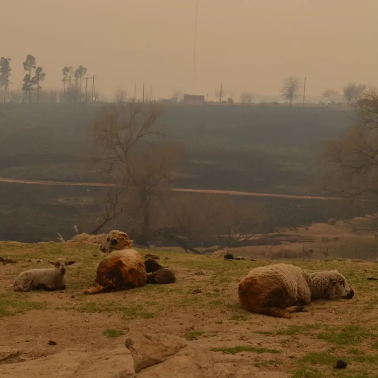 458772732_932222785611285_5878949673549596883_n