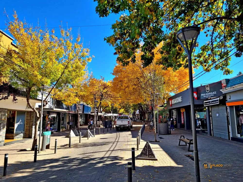 278125992_5069983933067780_8262654782697563840_n