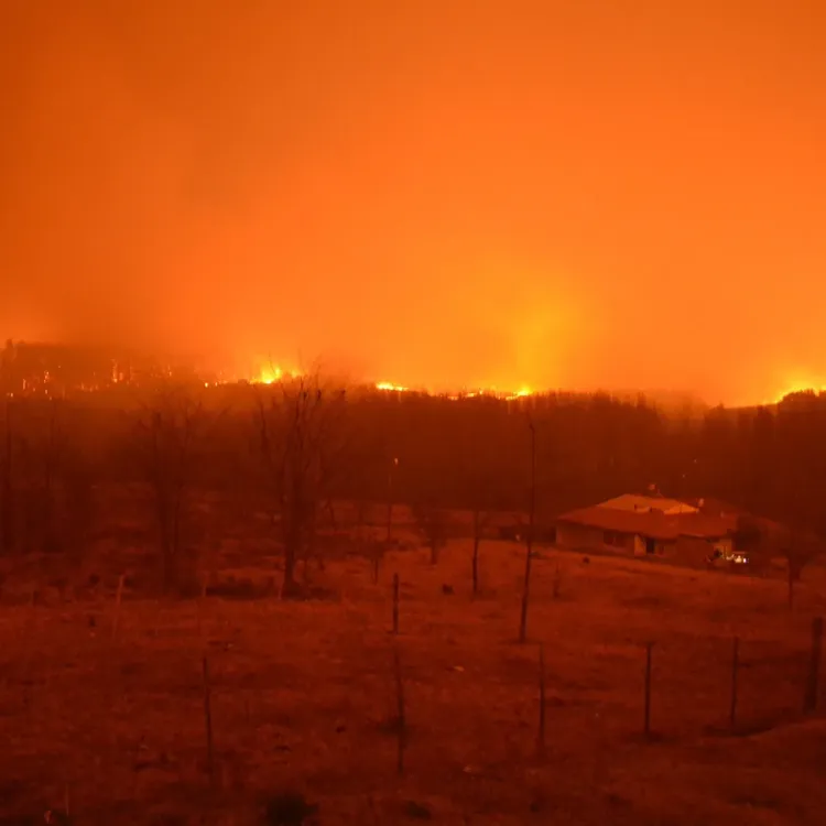 459021463_932222762277954_1194080350374122309_n