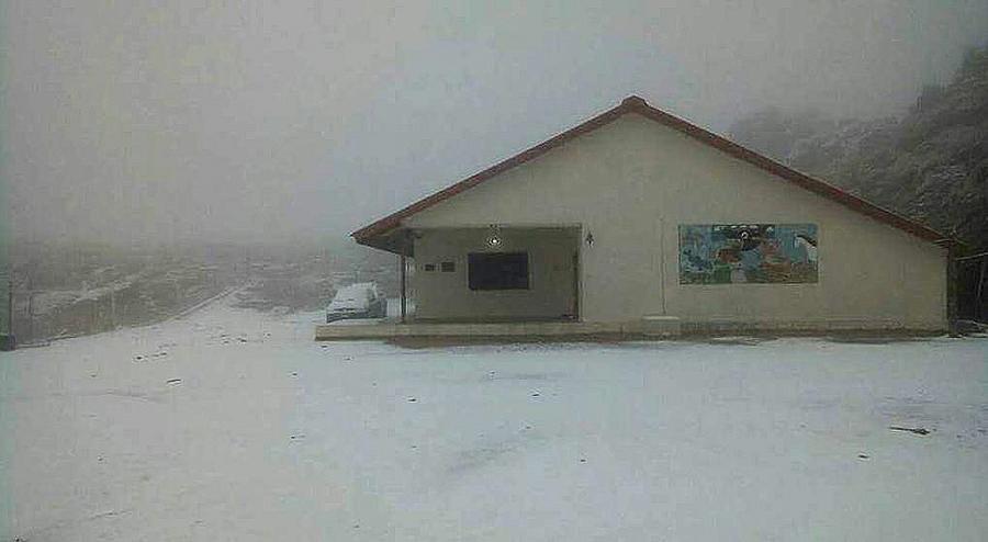 1nieve