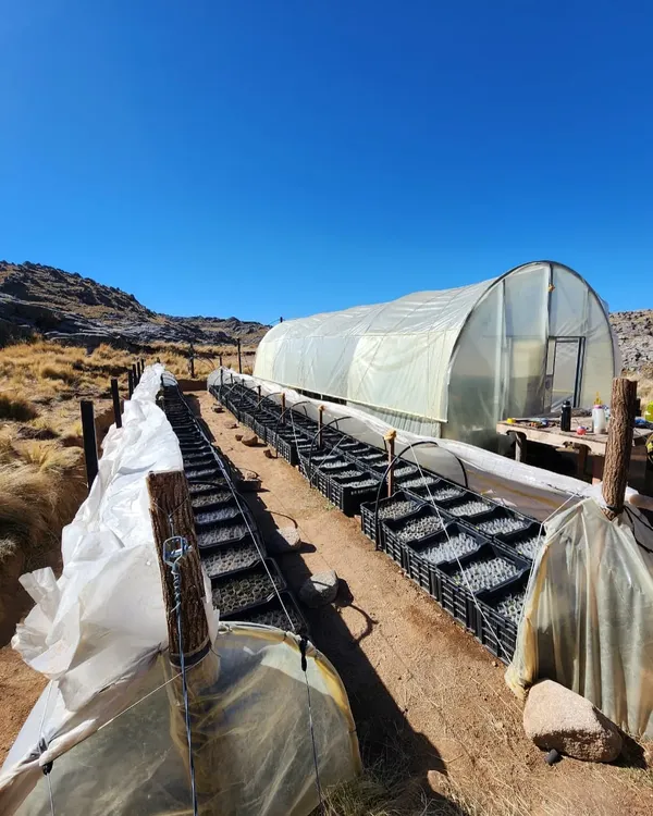 456142820_18039990040974781_8910294529773070824_n