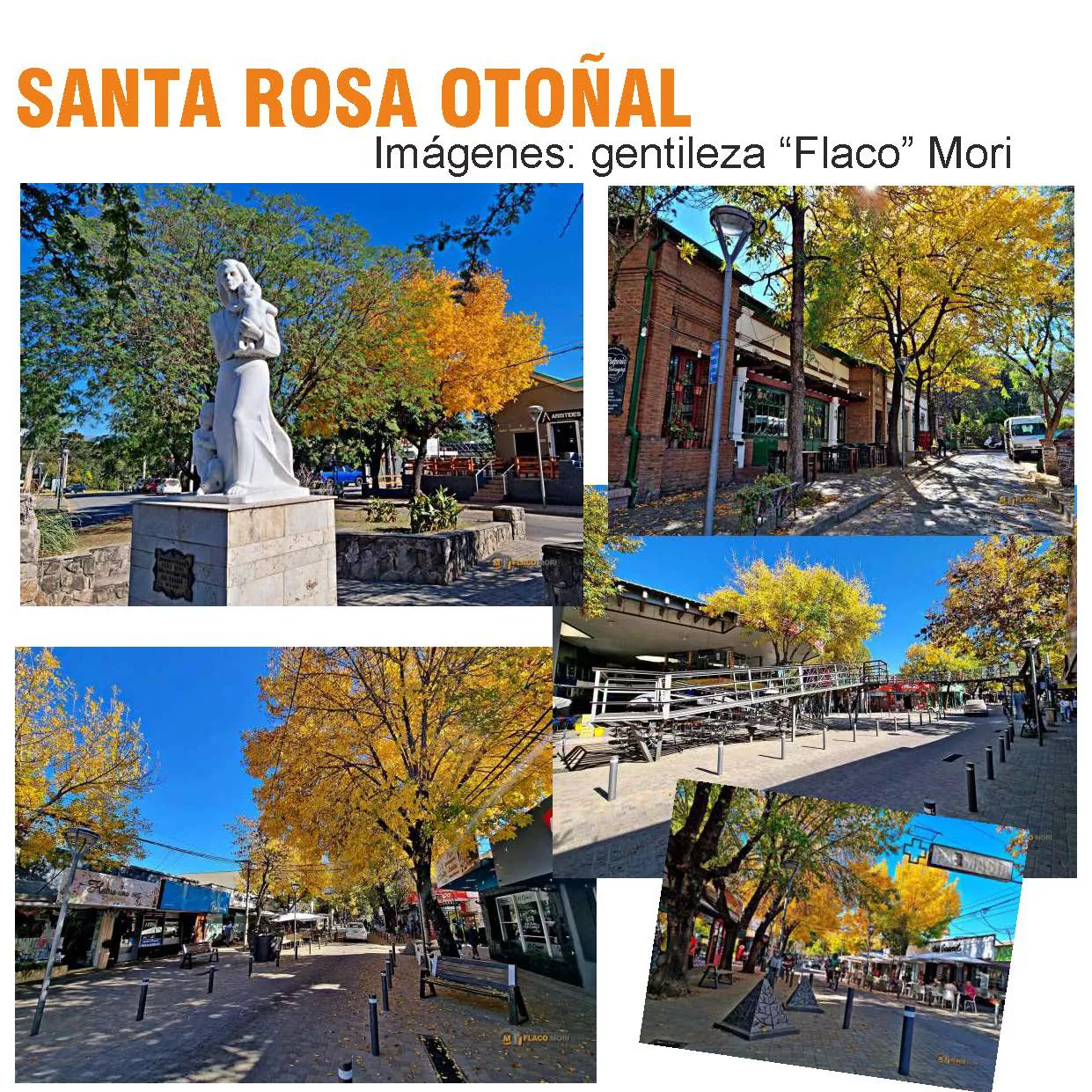 N° 976 viernes 15 de abril_Página_13