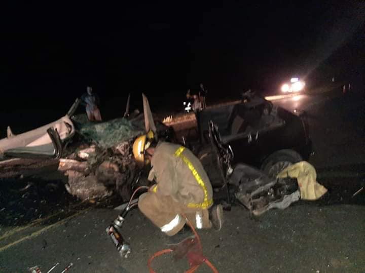 74605559_1270242793184331_4719420089022021632_n