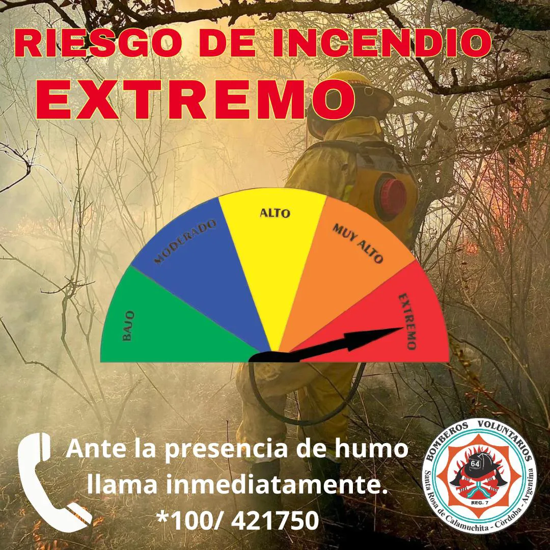 WhatsApp Image 2024-09-02 at 07.35.37