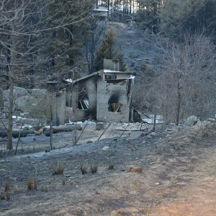 459044505_932222788944618_6241259217768059749_n