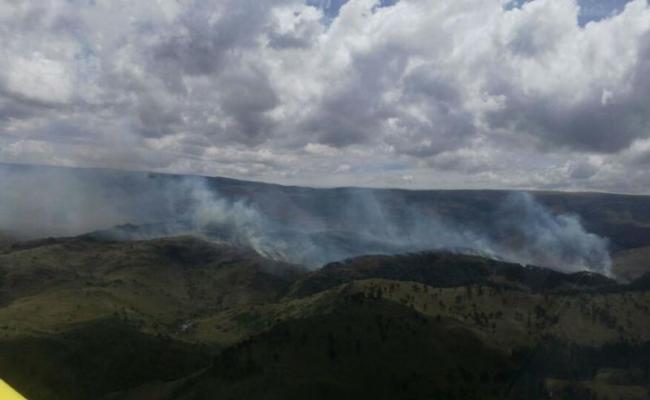incendio-en-tampa-alta (1)
