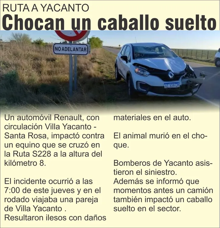 POLICIALES