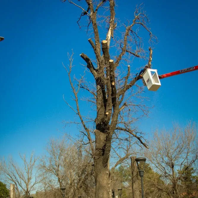 454373487_908662647967931_1421555842514967435_n