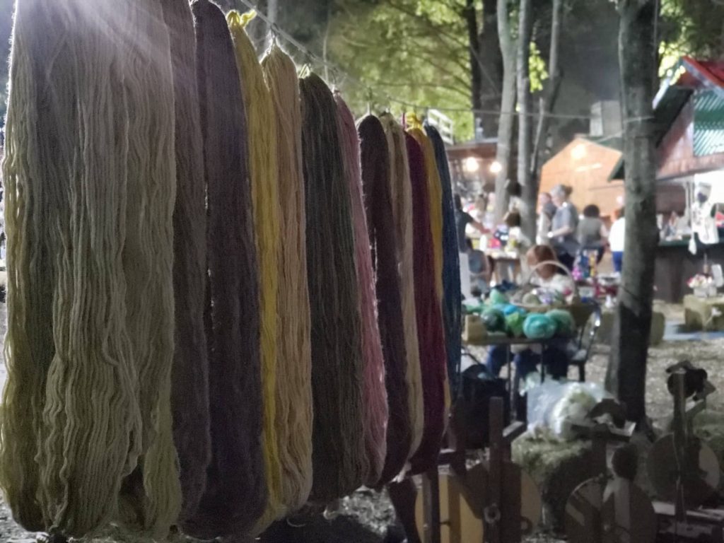 75481745_1453112208175886_4975195179729289216_n-1024x768