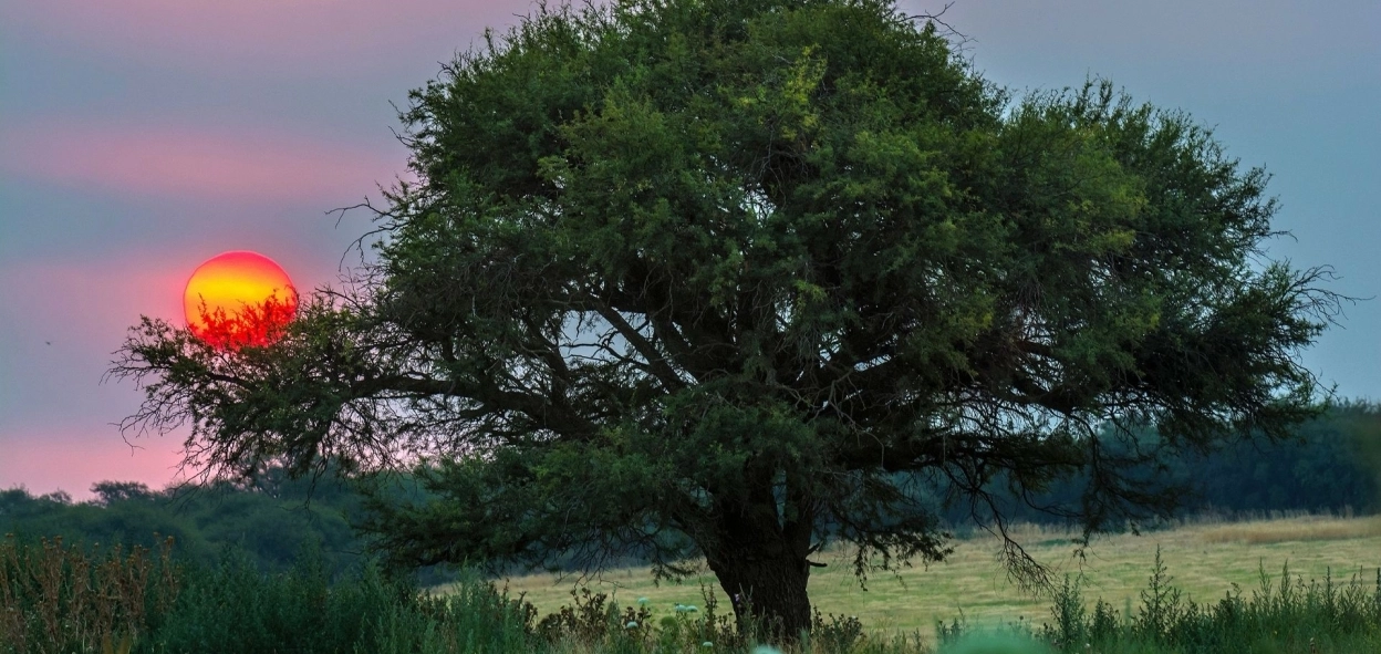 thumb_4574_1248_591_0_0_crop