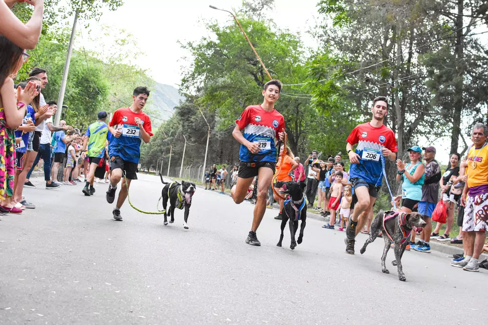 319052102_525615016272698_3077052954279485561_n