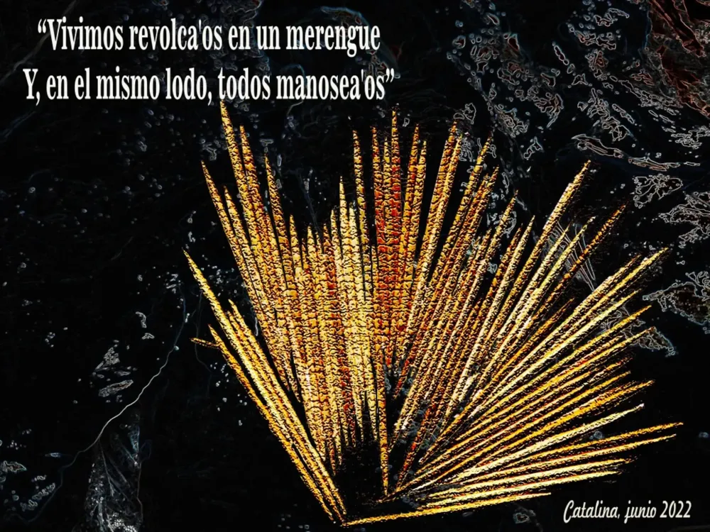 VARIOS