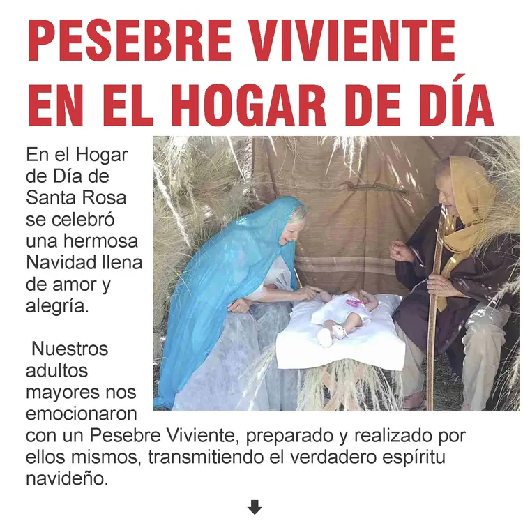 N° 1136 martes 24 de diciembre_Página_12