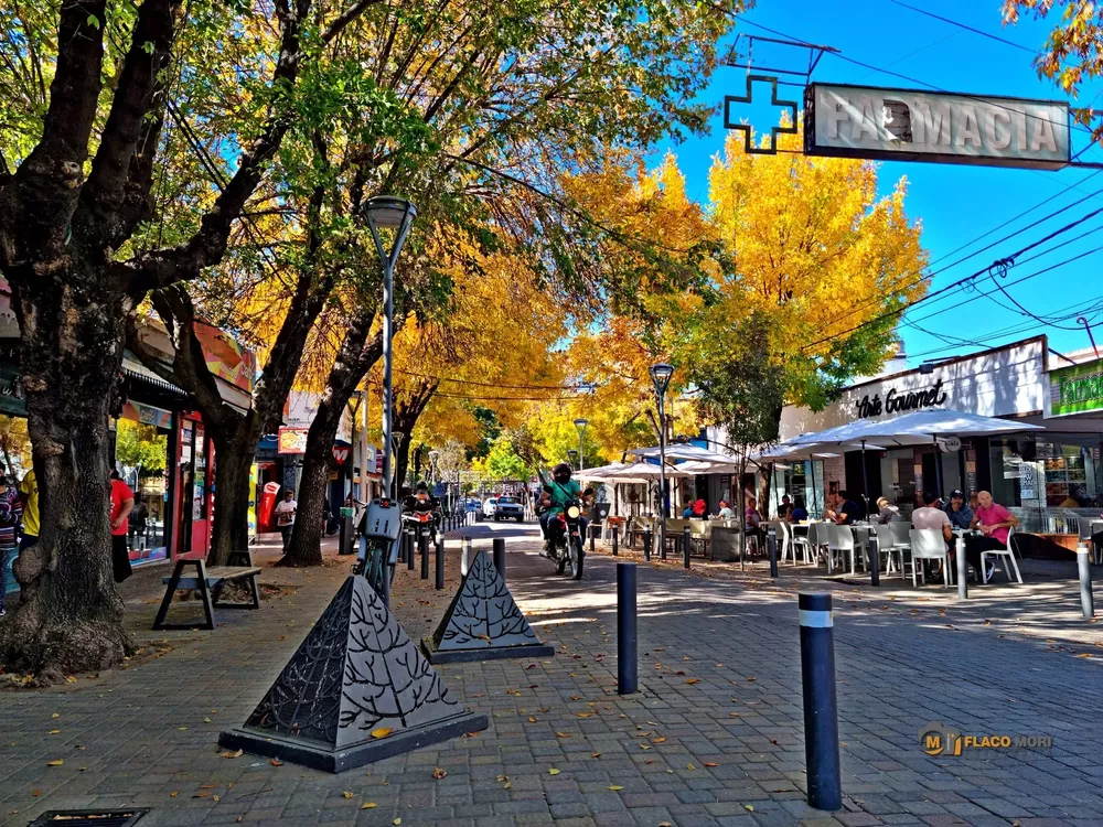 278183041_5069983326401174_2585164246620522706_n