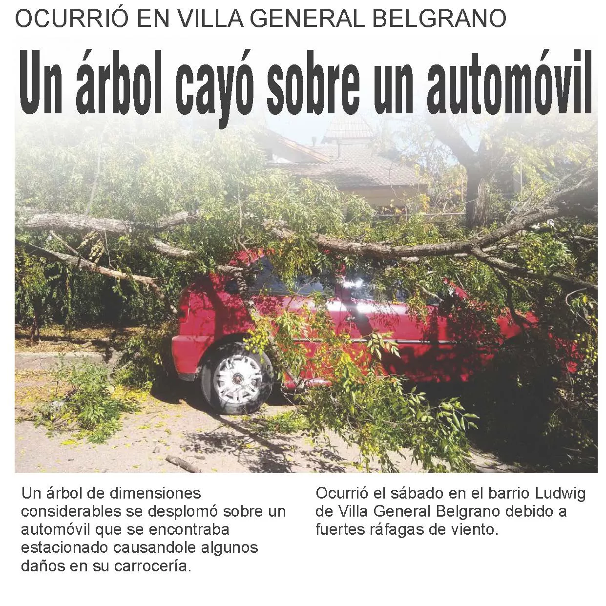 N° 976 viernes 15 de abril_Página_39