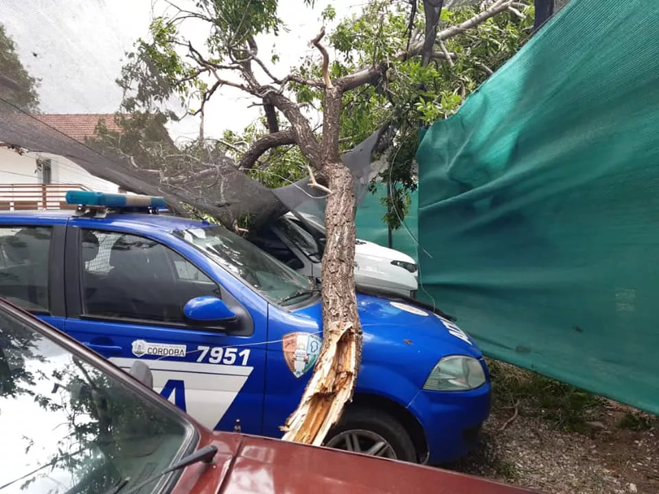 245605974_1864316650443606_7224489656555370871_n