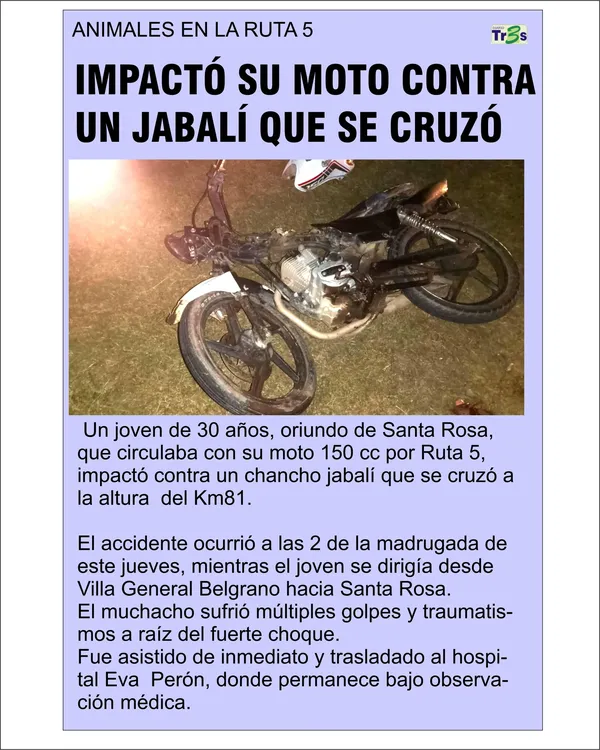Sin título-1