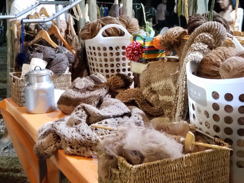 69361248_915522695508146_8304625210221395968_n-1024x768