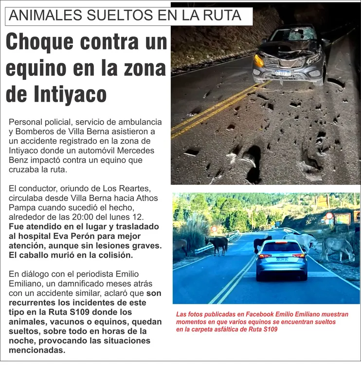 POLICIALES