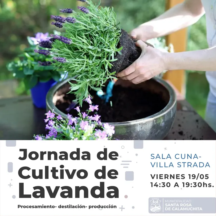 WhatsApp Image 2023-05-16 at 09.27.02