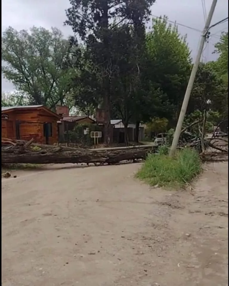 245753809_1864314940443777_5296089746839362914_n