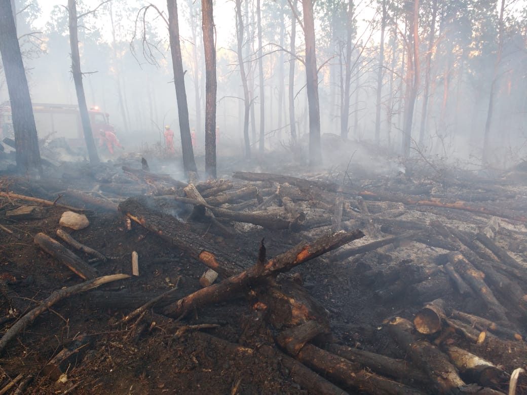 51126718-3cf0-4266-9f2c-1b815a0be51d