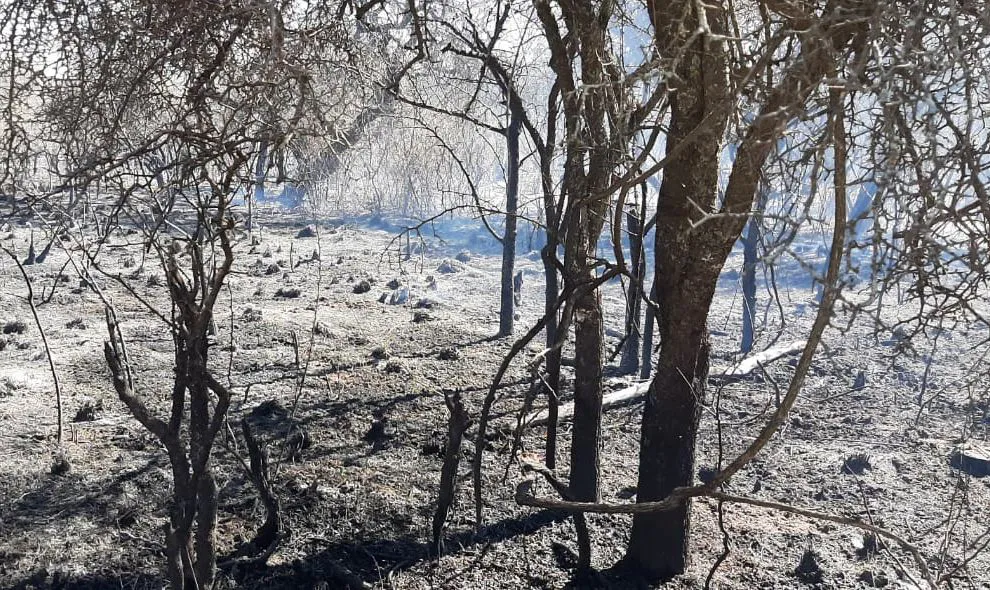 Incendio-Tulumba-2