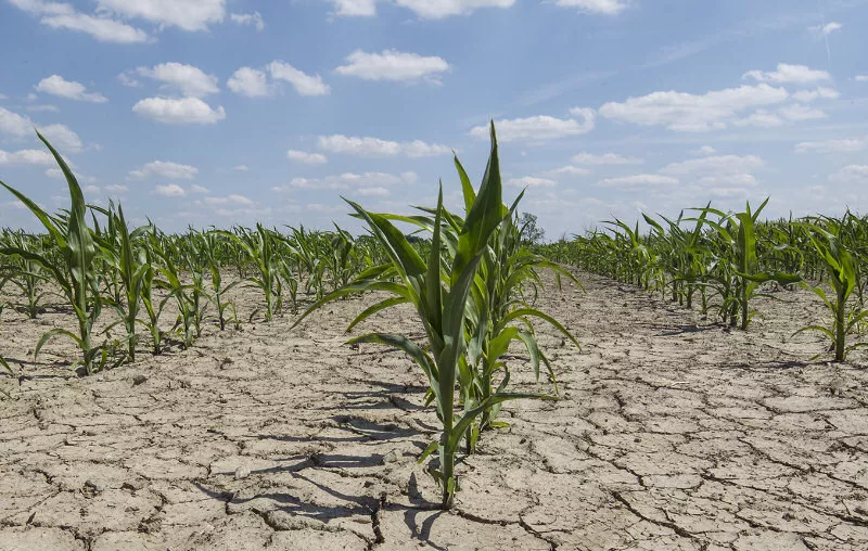 sequia-campo-argentina-2022